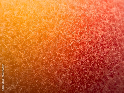 Macro texture of soft peach fuzz with warm orange and yellow gradient light