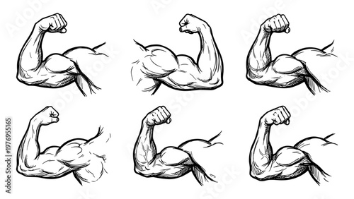 Bicep muscle arm set with strong man flex bodybuilder sketch