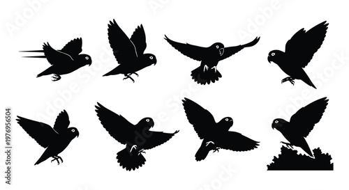 Black Small Parrot Parakeet Silhouette Set Vector Illustration Collection Isolated on White Background