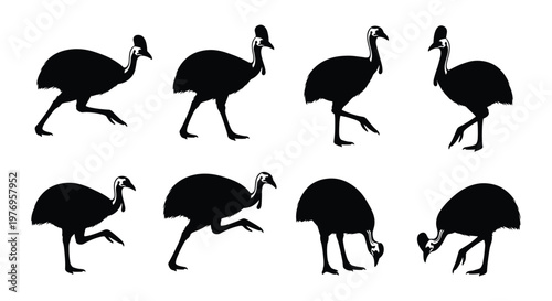 Black Cassowary Flightless Bird Silhouette Set Vector Illustration Collection Isolated on White Background