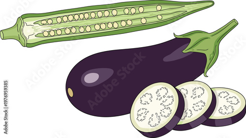 Sliced Eggplant and Okra Vegetable Illustration