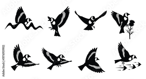 Foto Black Woodpecker Bird Silhouette Set Vector Illustration Collection Isolated on