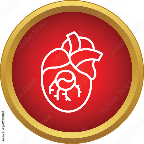 Human heart icon showing internal anatomy for medical and healthcare themes