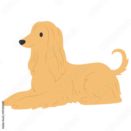 Cute Cartoon Afghan Hound Dog Illustration