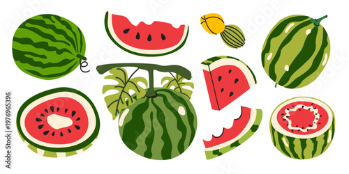 Set of watermelon elements in cartoon flat style. Whole fruit, halves and slices. Hand drawn juicy summer fruit isolated. Vector illustration