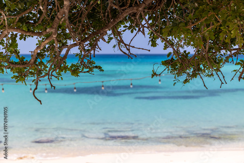 String light of light bulbs hanging on a tropical, exotic beach with turquoise blue water. Tropical dream beach, sunny day. Island life. Vacation atmosphere.