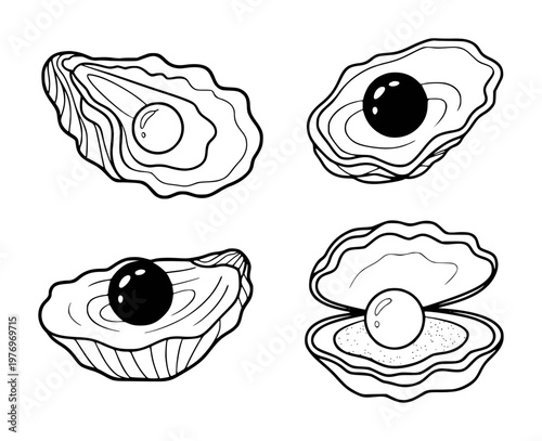 Black and white line oysters with pearls, isolated white background, seafood shellfish