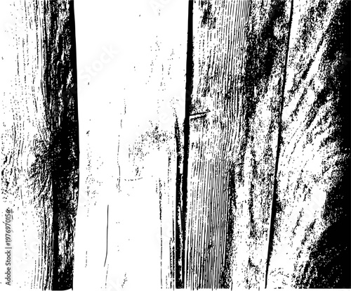 Black and white textured wood grain background, with vertical planks, and knots