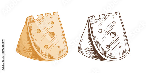 Hand drawn vintage sketch cheese wedge illustration with color and monochrome versions dairy food ingredient drawing element design