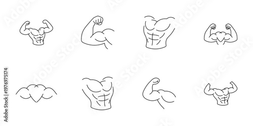 Strong bodybuilder torso and muscle arm. line icons of muscular human male torso with six pack abs and biceps, fitness bodybuilding and workout progress symbols. line art icons set for gym.