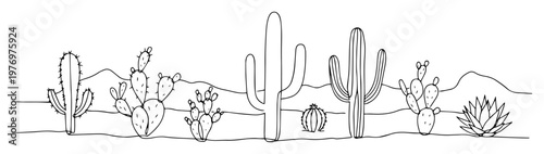 desert cactus plants landscape illustration