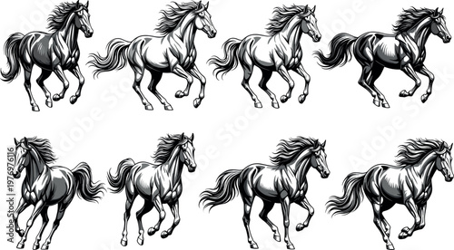 Black and White Running Horse Illustration Set with Dynamic Galloping Poses and Detailed Muscular Anatomy for Equestrian Design and Artwork