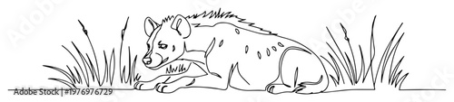 hyena lying in grasslands african wildlife sketch