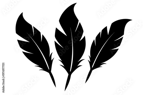 set of feathers icon, bird feathers silhouette vector, bird feathers black symbol
