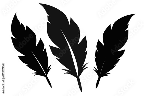 set of feathers icon, bird feathers silhouette vector, bird feathers black symbol
