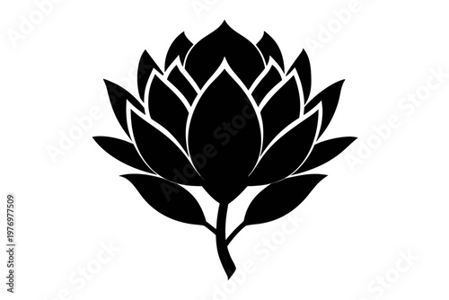 Bild auf Leinwand King Protea flower icon, king protea flower silhouette vector,  king protea flow
