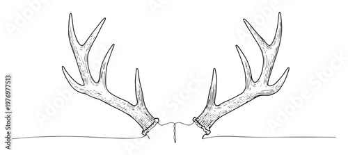 large deer antlers hunting trophy continuous one line drawing