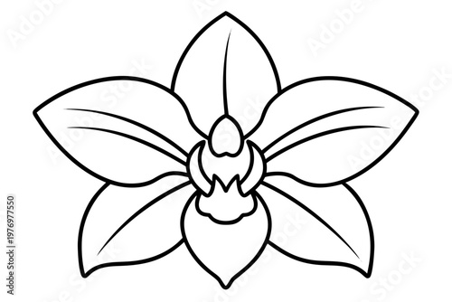 orchid flower outline vector, orchid flower icon, orchid flower  line art symbol 
