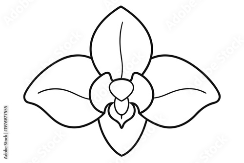 orchid flower outline vector, orchid flower icon, orchid flower  line art symbol 
