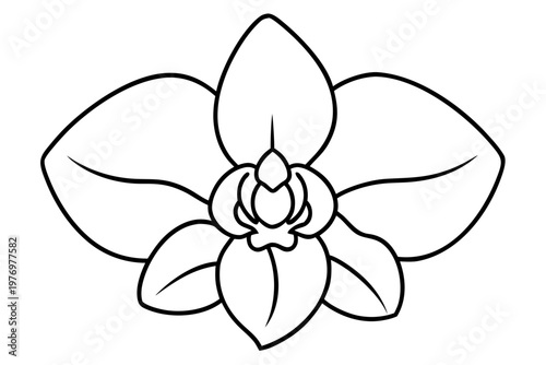 orchid flower outline vector, orchid flower icon, orchid flower  line art symbol 
