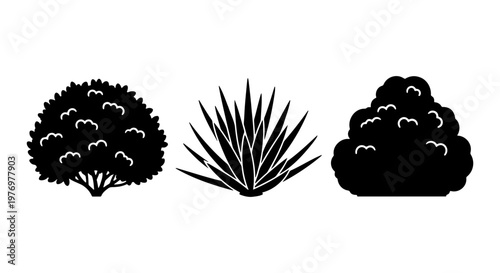 Black bush silhouettes, garden shrub icons, 3 plant vector elements