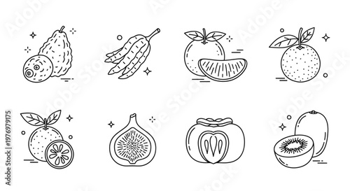 Outline icons of fresh fruits like citron, finger lime, orange, fig, persimmon, and kiwi, ideal for healthy eating concepts and foodrelated projects.