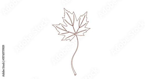 Elegant single line drawing of a maple leaf, perfect for conveying autumn, nature, or fall themes in minimalist designs, seasonal promotions, or sophisticated decorative projects.