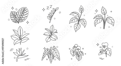 Stylized line art collection depicting diverse houseplants including calathea, peace lily, ZZ plant, and begonia, ideal for naturethemed projects.