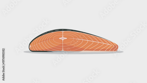 A raw salmon fillet with white lines on a light background