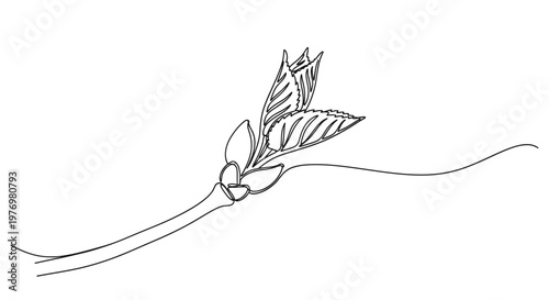 Elegant single line drawing of a spring plant bud and young leaves on a branch, perfect for themes of growth, nature, and new life.