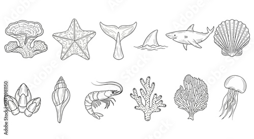 Handdrawn ocean creatures and reef flora, ideal for learning activities, graphic design projects, or aquaticthemed decorations.