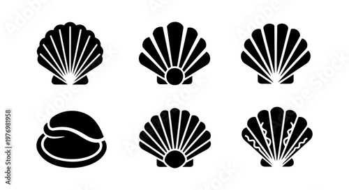 Minimalist seashell icons, black scallop shell vector set, 6 marine elements