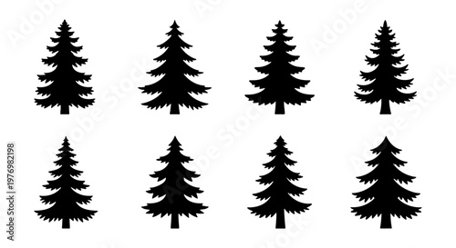 Pine tree silhouettes, 8 evergreen conifer icons, black forest vector set