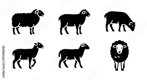 Black sheep silhouettes, 6 farm animal icons, woolly ram vector set