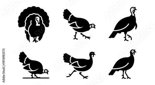 Turkey bird silhouette set, 6 wild turkey icons, black poultry vector