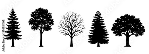 Black tree silhouettes, 5 forest tree icons, pine and oak vector set