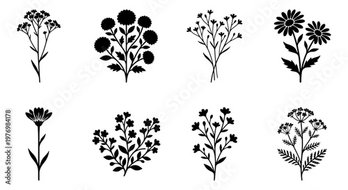 Photos Minimalist Wildflower Silhouettes, 8 Floral Vector Icons, Black Botanical Set