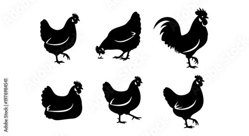 Black chicken silhouette set, 6 farm poultry icons, rooster vector art