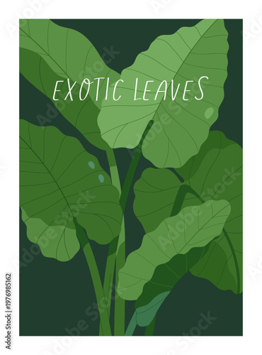 Exotic alocasia leaves, botanical poster in frame. Tropical leaf plant, flora card. Green jungle foliage, summer nature, background design. Greenery postcard with typography. Flat vector illustration