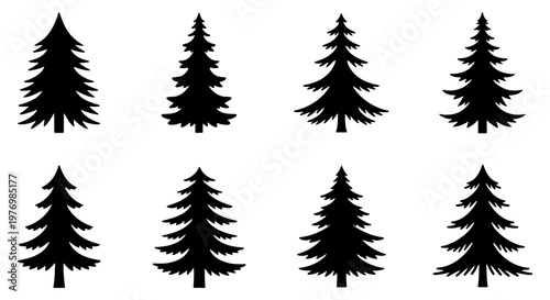 Pine tree silhouette set, 8 evergreen conifer icons, black forest vectors