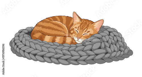 A cozy ginger tabby cat sleeps soundly while curled into a tight ball on a thick grey braided rug within a peaceful and quiet domestic environment.