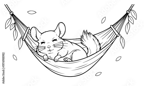 A contented chinchilla relaxes peacefully in a woven hammock eyes closed. Coloring page, Black and White Line Art Printable for Kids and Adults