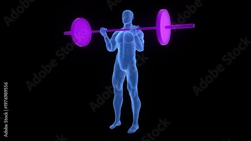 Human Lifting Heavy Barbell with Weights in Biceps Curls Exercise Anatomy Animation Concept