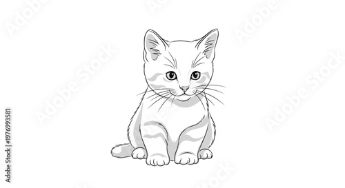 Cute and simple line drawing of a small kitten sitting peacefully is shown on a plain white background in a minimalist sketch style.