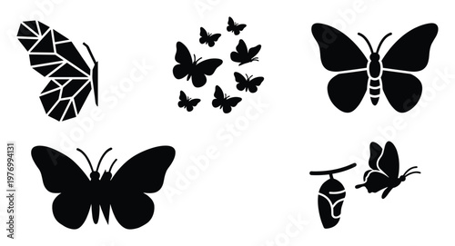 Diverse collection of elegant butterfly silhouettes including a striking geometric wing, a fluttering group, a classic insect, and the life cycle with a chrysalis, ideal for nature themes.