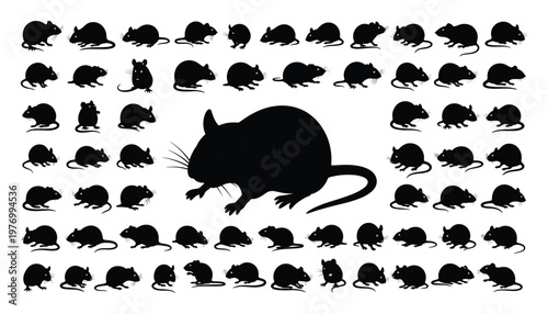 Collection of diverse rodent silhouettes showcasing various mouse and rat postures and sizes for educational materials and pest control presentations