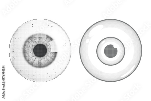 Realistic human eyeball vector set, detailed iris and pupil anatomy, monochrome eye icons for medical and horror design, 2 isolated elements