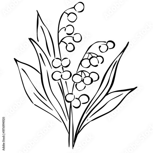 Minimalist Lily of the Valley Line Art Illustration, Botanical Flower Outline, Elegant Floral Vector