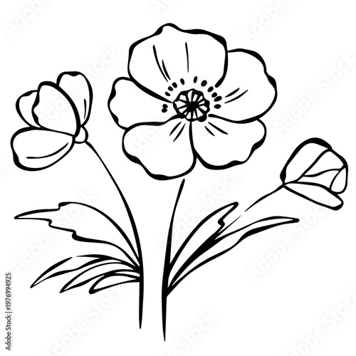 Minimalist Poppy Flower Line Art – Hand Drawn Botanical Outline Illustration