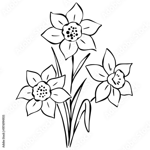 Minimalist Daffodil Flower Line Art Set, Hand Drawn Botanical Illustration, Spring Floral Outline Clipart